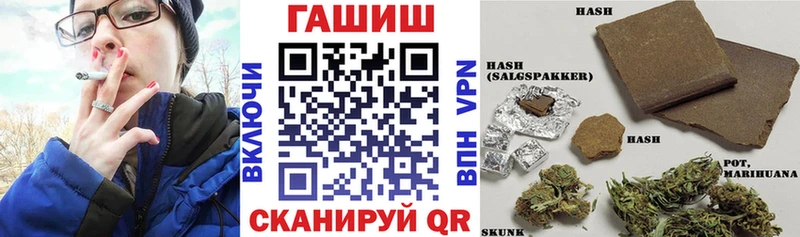 сколько стоит  Тара  мориарти телеграм  ГАШ Premium 