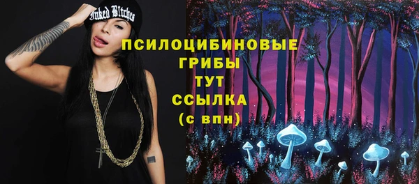 хмурый Алексеевка